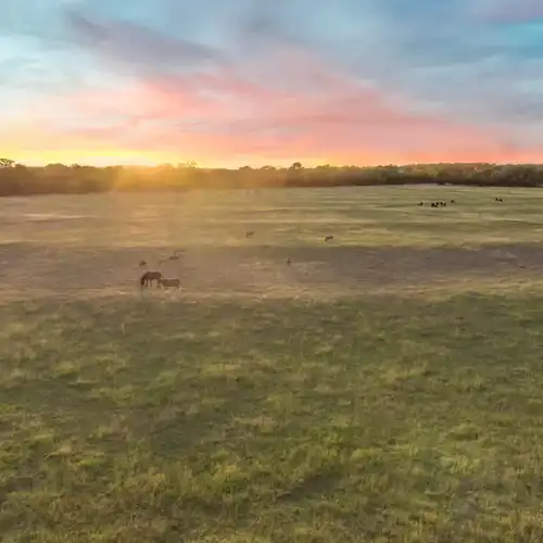 Twilight sky over a ranch showing cows
